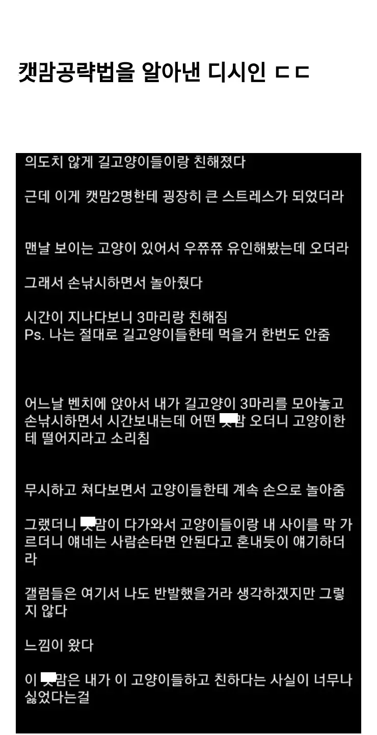 D캣맘공략법_2